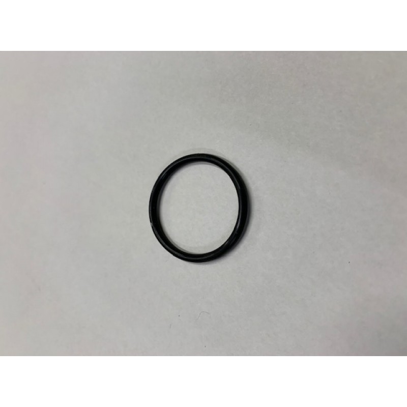 Sport 250 Plenum Plate O Ring (Clearance)
