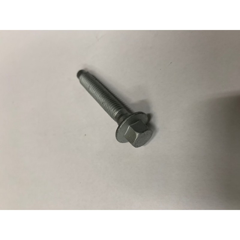 Sport 250 Alternator Bolt (Clearance)