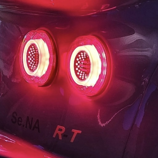 [3500120] 2025 Westfield FW Rear Light Kit