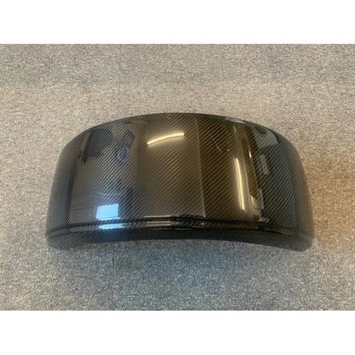 [5584042] Carbon Fibre Cycle Wing