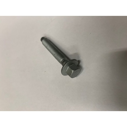 [8111409] Sport 250 Alternator Bolt (Clearance)